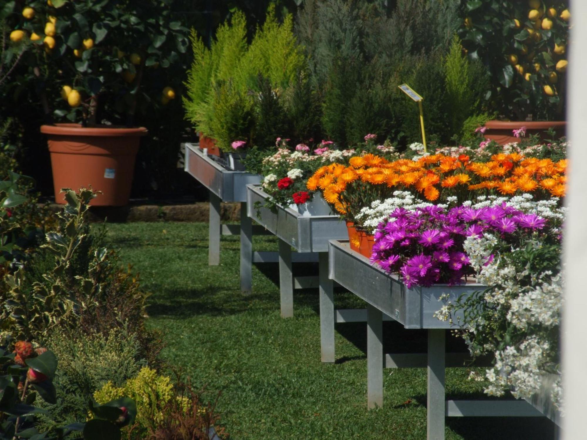Residenza I Ciclamini Bed and Breakfast Ρώμη Εξωτερικό φωτογραφία