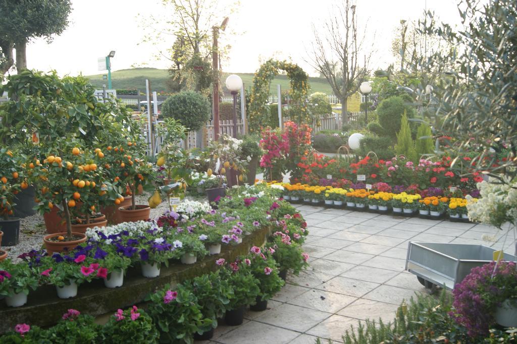 Residenza I Ciclamini Bed and Breakfast Ρώμη Εξωτερικό φωτογραφία